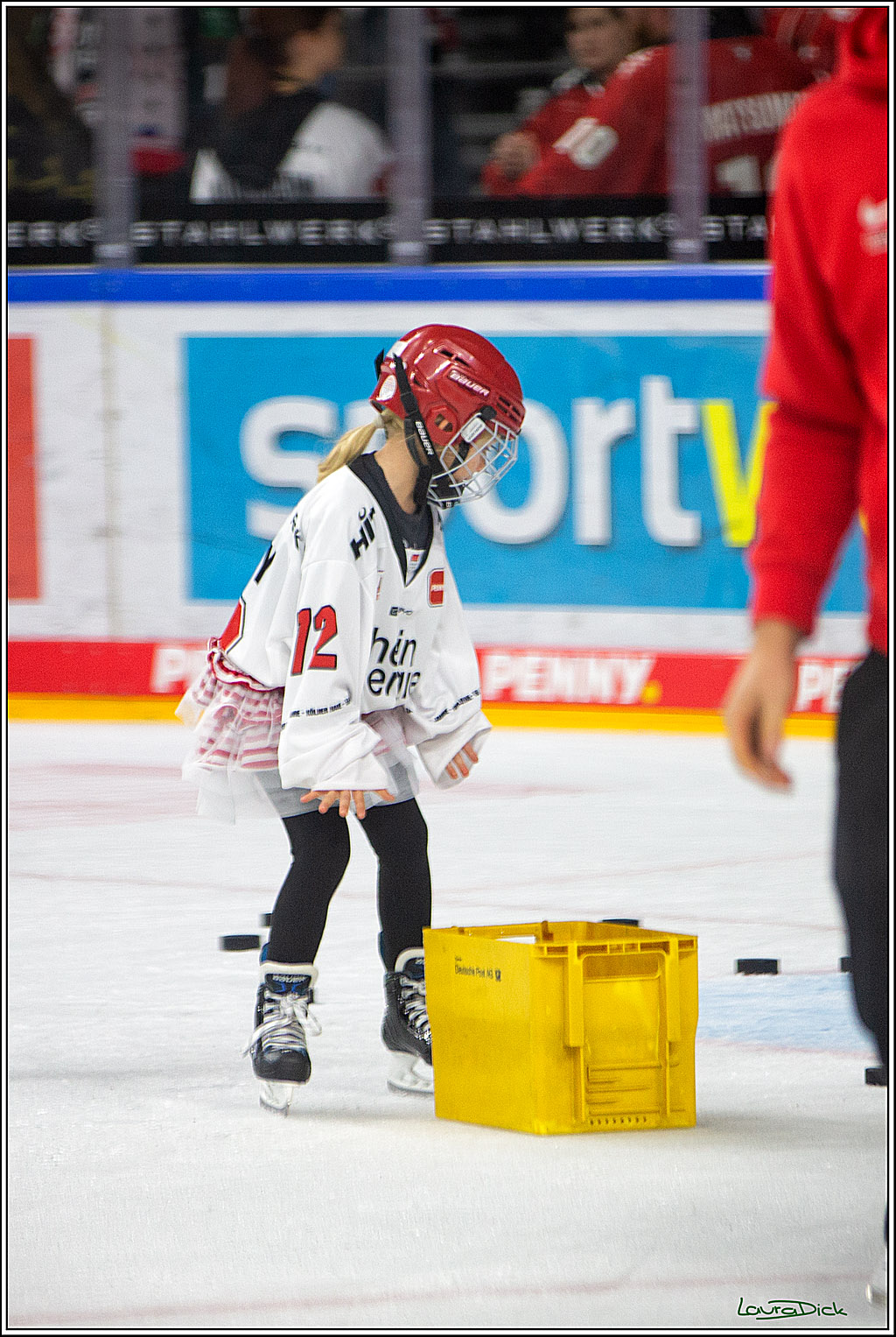 PENNY DEL; Koelner Haie- Grizzly Wolfsburg; Koeln, 26.10.2022